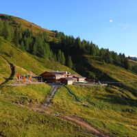 Loosbühelalm