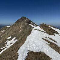 Goldtoni - Wandern - Monte Cusno - Monte Prado