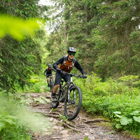 Mountainbike fahren auf einem Trail