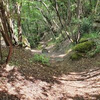 12.7 km Hohlweg am La Gabbia trail