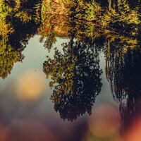 Spiegelung im Kocher | HeilbronnerLand