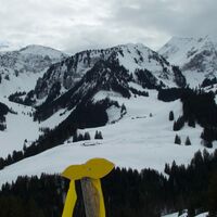 Homad vom Oberer Spitz
