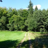 Voßholz