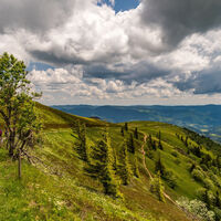 Belchen
