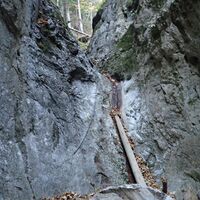 Abstieg durch die Weichtalklamm