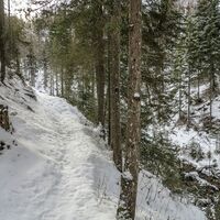 Seesteig bis Hartlsee