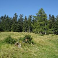 Almlandschaft bei der Knödelhütte