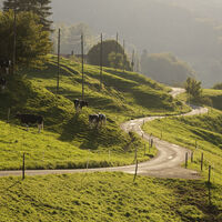 Herbstlandschaft im Jura