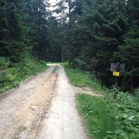 Wegkreuz 61-773 auf dem oberen Forstweg