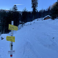 Abzweigung Zollhütte auf 1.300 m