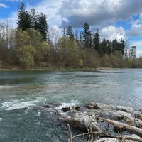 Auen-Trail - Steyr Unterhimmler Au