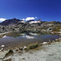 Selva - Cancian