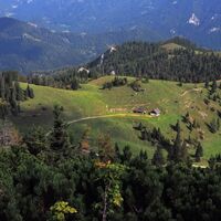 Bei der Kleinveitschalm