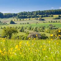 Frühling in den Streuobstwiesen, Biosphaerenreservat Bliesgau