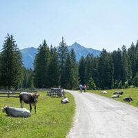 Biketour Wildmoos
