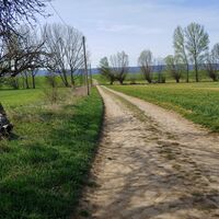 Weg nach Weddersleben