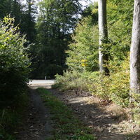 am Weg nach Maria Gugging