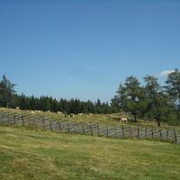 Unterauerlinger Hütte: Ausblick