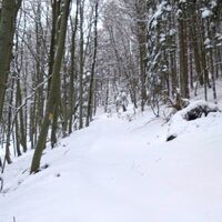 Weg zum Grat