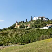 Schloss Kapfenstein am Vulkankegel