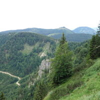 Steig oberhalb Türndlmäuer am Rückweg