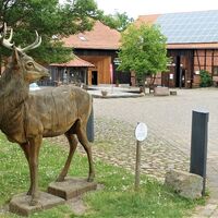 Gut Herbigshagen