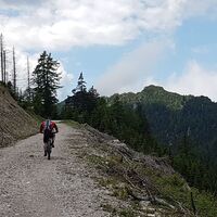 14.2 km Blick zum Schwazkogel