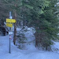 Abzweigung Richtung Bärengraben