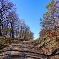 Wanderweg Alter Steiger