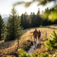 Schmale Pfade und kleine Brücken führen über den Feldberg.