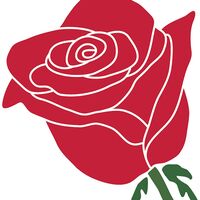 Signet Der Name der Rose