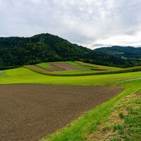 Felder mit Mandlgupf am Rückweg nach Pöggstall