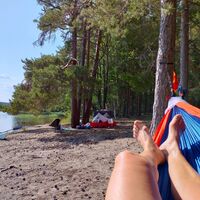 Päijänteen-Nationalpark - Kelvenne