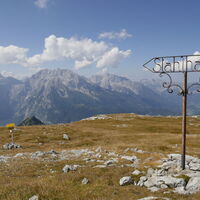 die Richtung ist wohl vorgegeben
