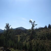 Hinternaßwald - Grenzriegel - Amaißbichl