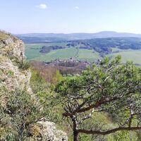 Blick auf Kälberfeld bei Eisenach