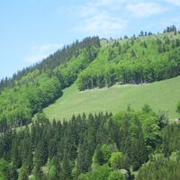 Abstieg Weg zurück