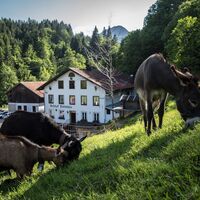 Fallmühle