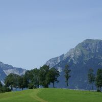 Zimmermoos Brixlegg