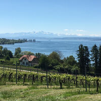 Seeblick von der Basilika Birnau