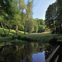 Rundwanderweg Sonneberg | Froschteich