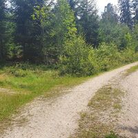 8.5 km Nach Bloßmauer links abbiegen