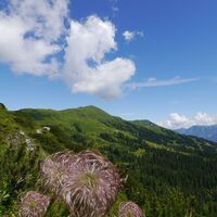 Blick zurück zum Fellhorn aus Richtung Kanzelwand