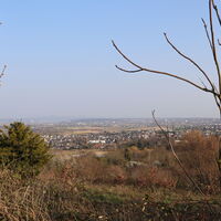 Ausblick von Alfter Richtung Bonn im Frühjahr