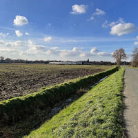 Blick auf Kranenburg
