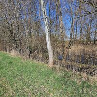 Teichwiesenbach