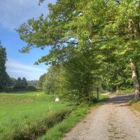 Komfortable Wanderwege führen ins Moosalbtal