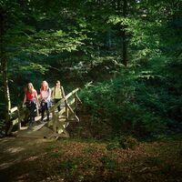 Brücke am Waldrastplatz Brombach
