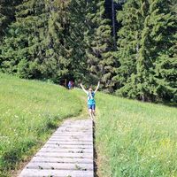Allmendwald Lichtung - Riffenmatt-Pfyffe Trailrun