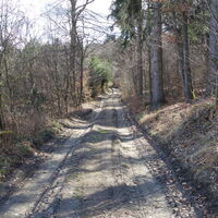 am Forstweg Richtung Buschandlwand